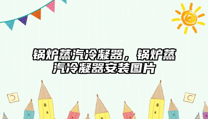鍋爐蒸汽冷凝器，鍋爐蒸汽冷凝器安裝圖片