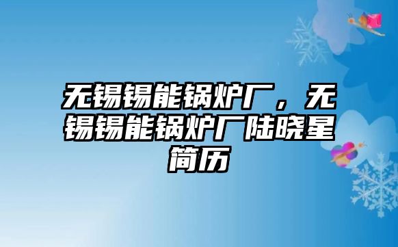 無(wú)錫錫能鍋爐廠(chǎng)，無(wú)錫錫能鍋爐廠(chǎng)陸曉星簡(jiǎn)歷