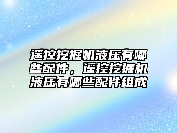遙控挖掘機(jī)液壓有哪些配件，遙控挖掘機(jī)液壓有哪些配件組成