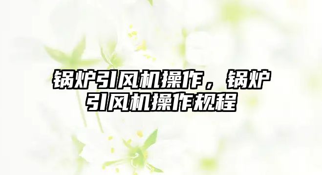 鍋爐引風(fēng)機(jī)操作，鍋爐引風(fēng)機(jī)操作規(guī)程