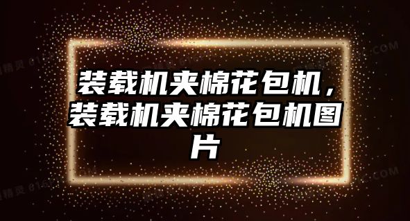 裝載機(jī)夾棉花包機(jī)，裝載機(jī)夾棉花包機(jī)圖片
