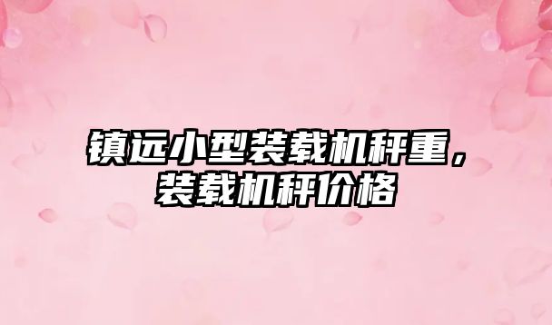 鎮(zhèn)遠(yuǎn)小型裝載機秤重，裝載機秤價格