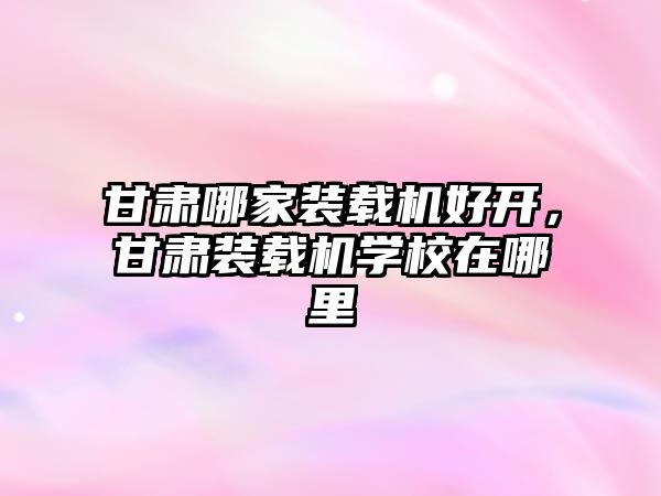 甘肅哪家裝載機好開，甘肅裝載機學校在哪里