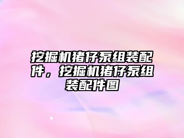 挖掘機豬仔泵組裝配件，挖掘機豬仔泵組裝配件圖