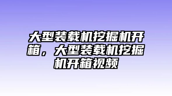 大型裝載機挖掘機開箱，大型裝載機挖掘機開箱視頻