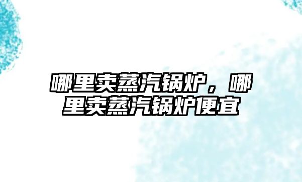哪里賣蒸汽鍋爐，哪里賣蒸汽鍋爐便宜