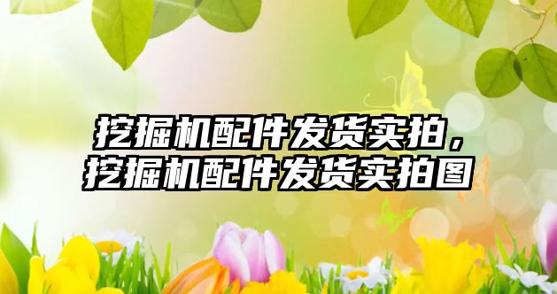 挖掘機(jī)配件發(fā)貨實(shí)拍，挖掘機(jī)配件發(fā)貨實(shí)拍圖