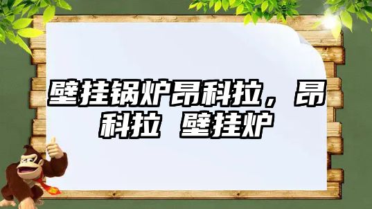 壁掛鍋爐昂科拉，昂科拉 壁掛爐