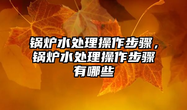 鍋爐水處理操作步驟，鍋爐水處理操作步驟有哪些