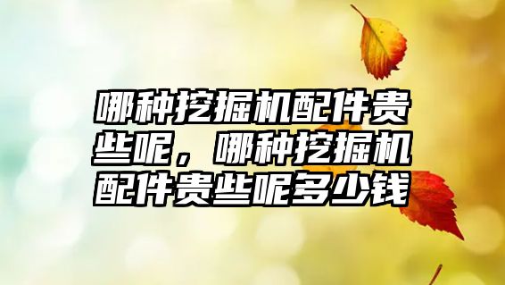 哪種挖掘機(jī)配件貴些呢，哪種挖掘機(jī)配件貴些呢多少錢