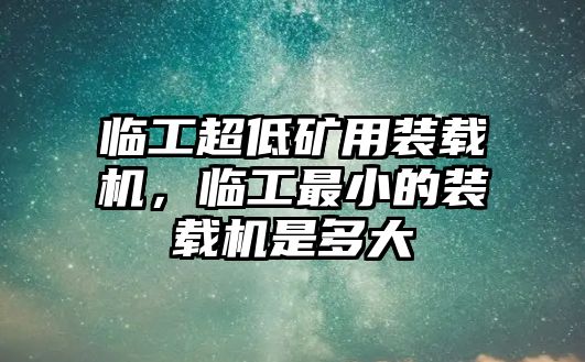 臨工超低礦用裝載機，臨工最小的裝載機是多大