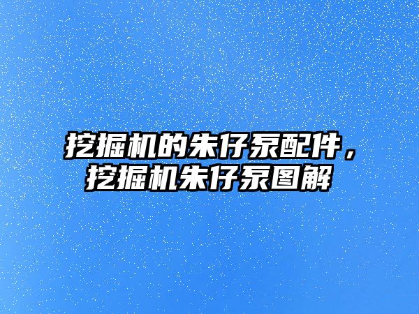 挖掘機的朱仔泵配件，挖掘機朱仔泵圖解