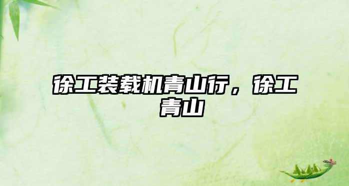 徐工裝載機青山行，徐工 青山