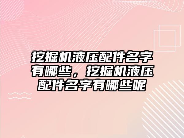 挖掘機(jī)液壓配件名字有哪些，挖掘機(jī)液壓配件名字有哪些呢