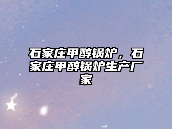 石家莊甲醇鍋爐，石家莊甲醇鍋爐生產(chǎn)廠家