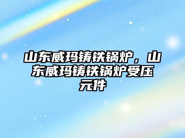 山東威瑪鑄鐵鍋爐，山東威瑪鑄鐵鍋爐受壓元件