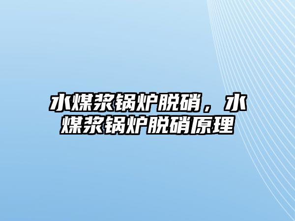 水煤漿鍋爐脫硝，水煤漿鍋爐脫硝原理
