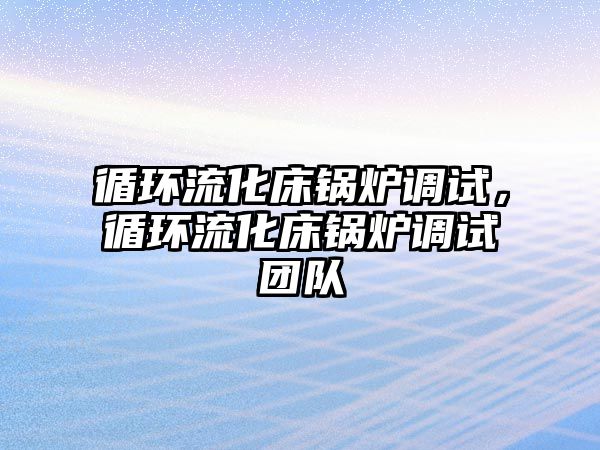 循環(huán)流化床鍋爐調(diào)試，循環(huán)流化床鍋爐調(diào)試團(tuán)隊(duì)