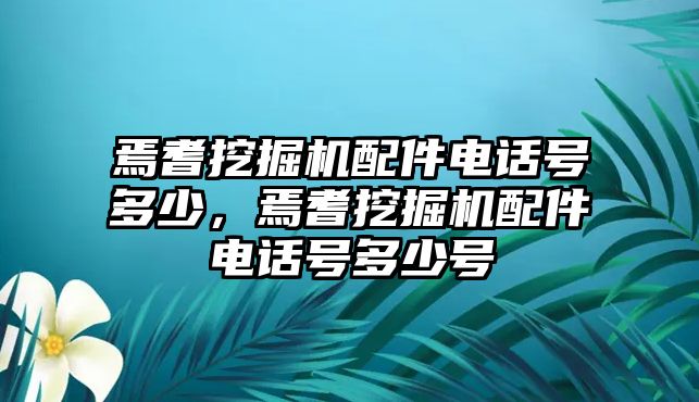 焉耆挖掘機(jī)配件電話號(hào)多少，焉耆挖掘機(jī)配件電話號(hào)多少號(hào)