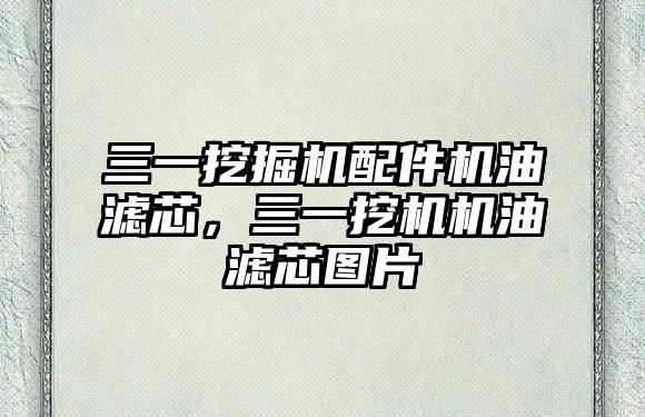 三一挖掘機(jī)配件機(jī)油濾芯，三一挖機(jī)機(jī)油濾芯圖片