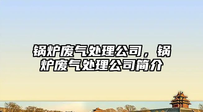鍋爐廢氣處理公司，鍋爐廢氣處理公司簡介