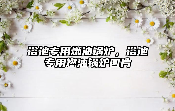 浴池專用燃油鍋爐，浴池專用燃油鍋爐圖片