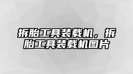 拆胎工具裝載機(jī)，拆胎工具裝載機(jī)圖片