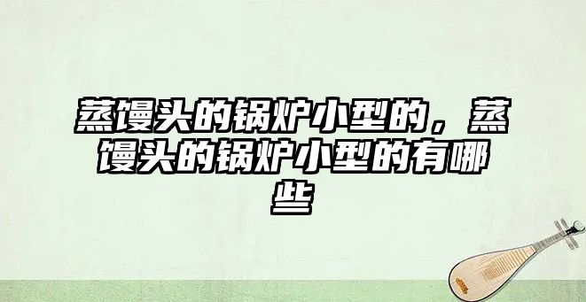 蒸饅頭的鍋爐小型的，蒸饅頭的鍋爐小型的有哪些