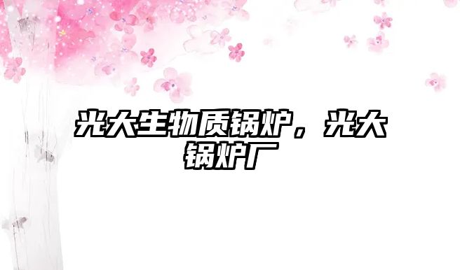 光大生物質(zhì)鍋爐，光大鍋爐廠