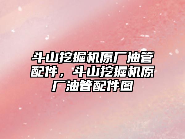 斗山挖掘機原廠油管配件，斗山挖掘機原廠油管配件圖