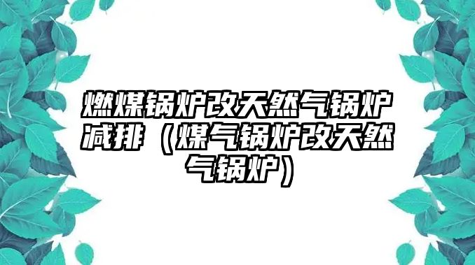 燃煤鍋爐改天然氣鍋爐減排（煤氣鍋爐改天然氣鍋爐）