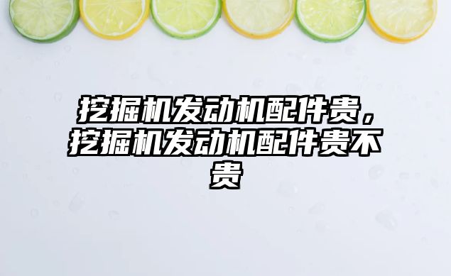 挖掘機(jī)發(fā)動機(jī)配件貴，挖掘機(jī)發(fā)動機(jī)配件貴不貴