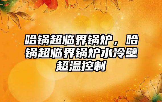 哈鍋超臨界鍋爐，哈鍋超臨界鍋爐水冷壁超溫控制