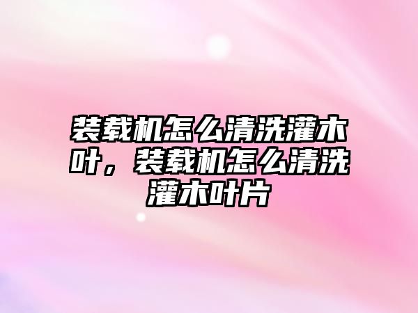 裝載機(jī)怎么清洗灌木葉，裝載機(jī)怎么清洗灌木葉片