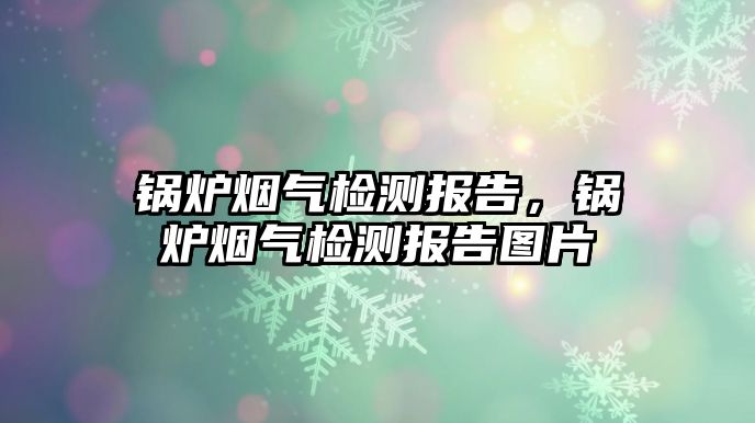 鍋爐煙氣檢測報(bào)告，鍋爐煙氣檢測報(bào)告圖片