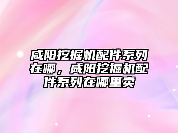 咸陽挖掘機(jī)配件系列在哪，咸陽挖掘機(jī)配件系列在哪里賣