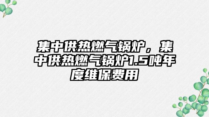 集中供熱燃?xì)忮仩t，集中供熱燃?xì)忮仩t1.5噸年度維保費(fèi)用