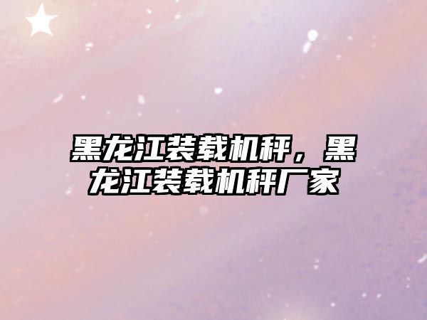 黑龍江裝載機(jī)秤，黑龍江裝載機(jī)秤廠家