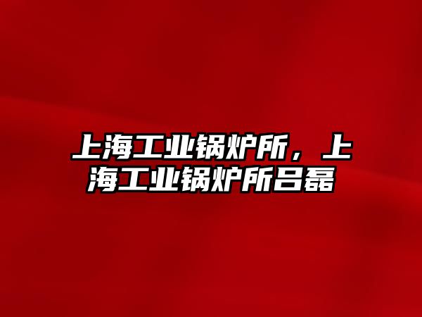 上海工業(yè)鍋爐所，上海工業(yè)鍋爐所呂磊