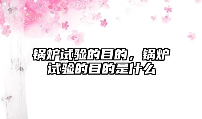 鍋爐試驗(yàn)的目的，鍋爐試驗(yàn)的目的是什么