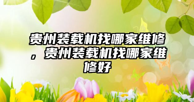 貴州裝載機(jī)找哪家維修，貴州裝載機(jī)找哪家維修好