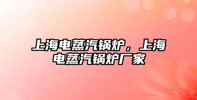 上海電蒸汽鍋爐，上海電蒸汽鍋爐廠家
