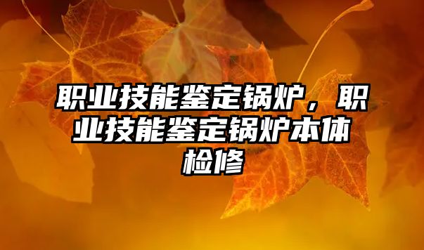 職業(yè)技能鑒定鍋爐，職業(yè)技能鑒定鍋爐本體檢修
