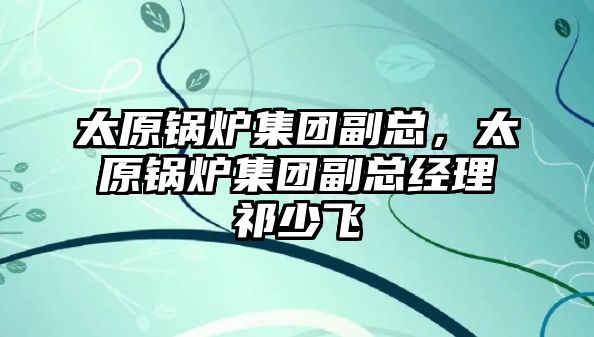 太原鍋爐集團副總，太原鍋爐集團副總經(jīng)理祁少飛