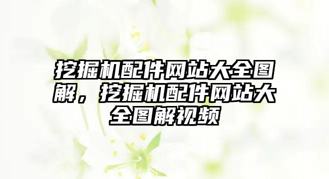 挖掘機(jī)配件網(wǎng)站大全圖解，挖掘機(jī)配件網(wǎng)站大全圖解視頻