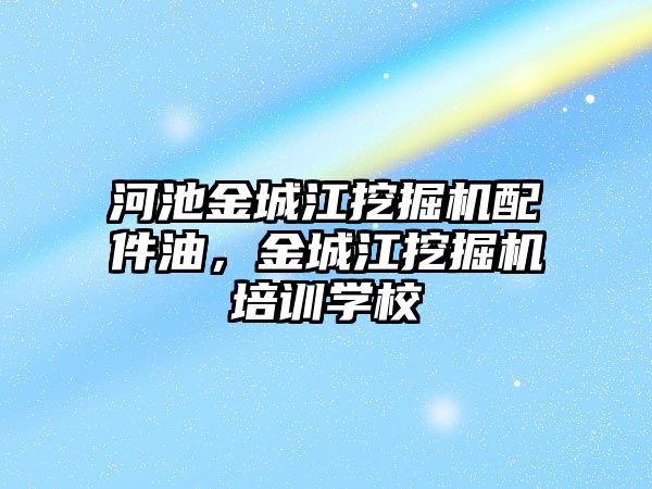 河池金城江挖掘機配件油，金城江挖掘機培訓(xùn)學(xué)校