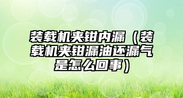 裝載機夾鉗內(nèi)漏（裝載機夾鉗漏油還漏氣是怎么回事）