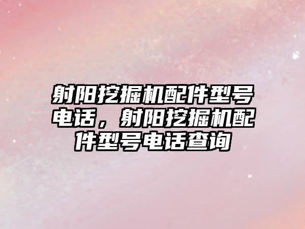 射陽挖掘機配件型號電話，射陽挖掘機配件型號電話查詢