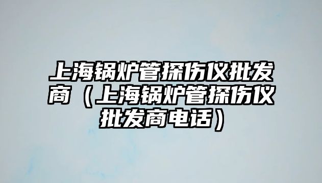 上海鍋爐管探傷儀批發(fā)商（上海鍋爐管探傷儀批發(fā)商電話）