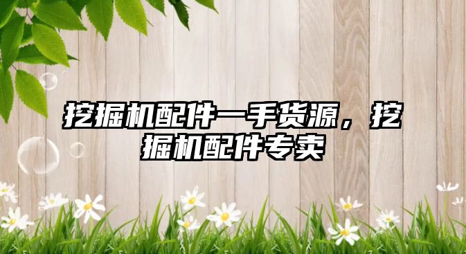 挖掘機(jī)配件一手貨源，挖掘機(jī)配件專(zhuān)賣(mài)